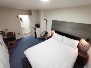 Osney Ginkgo Studio - Self Contained Studio Flat