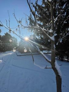 Domki Skandynawskie nad Pilicą, Duży Domek