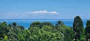 La VILLA ANKARENA Dans un domaine forestier tropical, PROPRIÉTÉ ENTIÈRE avec PISCINE PRIVEE, Wifi, TV Plage à 5 minutes à pieds