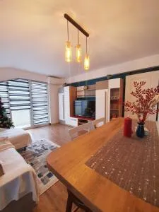 Cazare 3 camere / penthouse - Turnişor