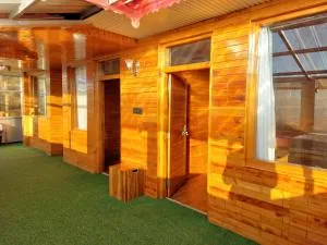 Himalayan Cedar - Karsog