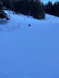 Escapade montagnarde idéale à Thyon - Les Collons!