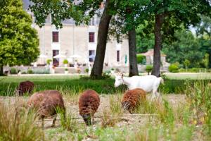 Hotels Chateau de la Verie : photos des chambres