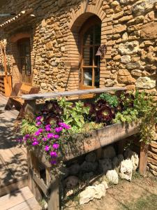 Maisons de vacances Amoureux de la nature : photos des chambres