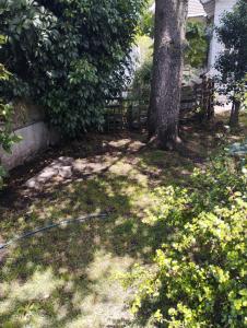 Casa 2 ambientes Mar del Plata