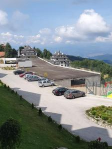 Snežna pahuljica P19