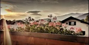 Gästehaus Bader - Farchant