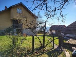 Apartman Mica i Živo