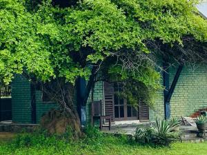 Yala Ying Yang Hostel & Camping