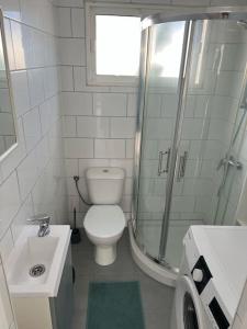 26 Puerto del Carmen Palm tree