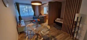 Near to airport 2 - Sic