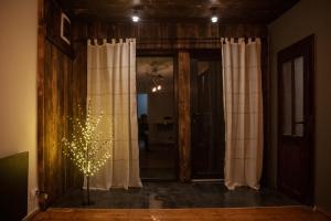 Файна Чічка