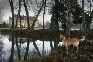 Hotels Chateau de la Verie : photos des chambres