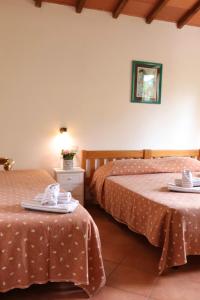 Standard Apartment room in C.A.V. Capenti