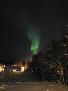 Luxury residence in Rovaniemi