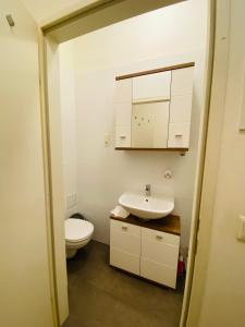 NiceApartmentHollerg.11