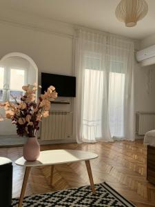 Balconia sunny apartment in centre of Belgrade