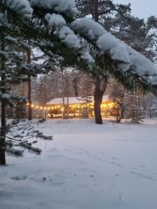 Albatross Green Apartment