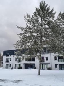 Albatross Green Apartment