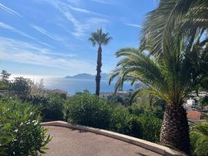 Superbe appartement une chambre vue mer piscine tennis