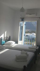 Sofias Studios