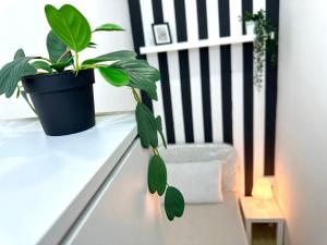 Striped Partition Room in Barsha 1 Near Mall of the Emirates