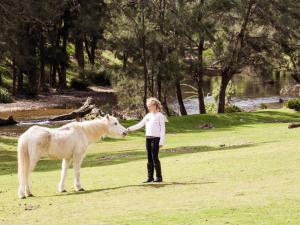 Turon Gates Wilderness Retreat - Lodges, Log Cabins and Glamping near the Blue Mountains