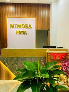 Khách sạn Mimosa