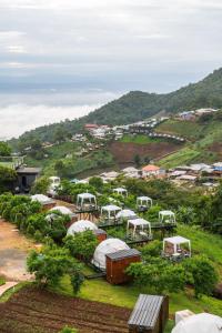 ม่อนหมอกฟ้า ม่อนแจ่ม