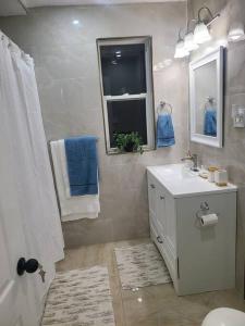 3 BR House in Toronto Downtown