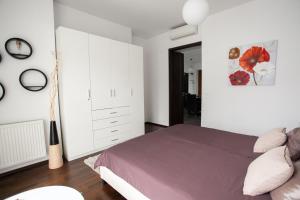 Budapest Terrace Apartment