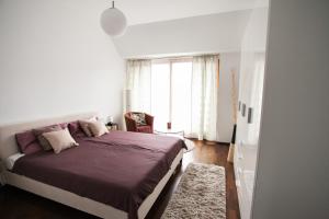 Budapest Terrace Apartment