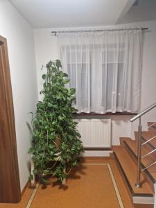 Noclegi Budomas Budget Wrocław-Szymanów FreeParking SmartTv