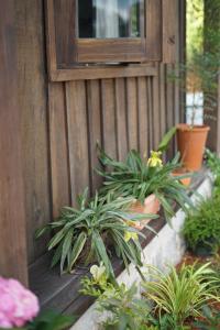 Olive Cottage Bao Loc