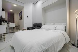 Lovely Apartment in Gran Via Madrid