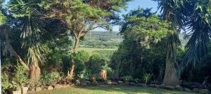 Terryton Country Estate - Cyprus Dale