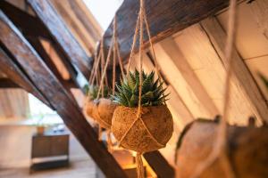 Appartements Le Laurencin Sens - Le Family : photos des chambres