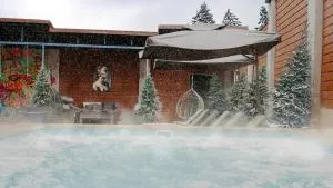 Hotel Sapphire Bakuriani - 巴库里阿尼