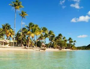 Sud Madinina - Sainte Anne - Bernard