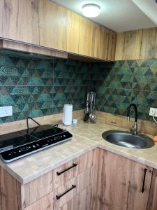 Lastivka Guest House