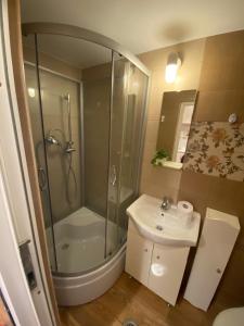 Lions Studio Dristor II