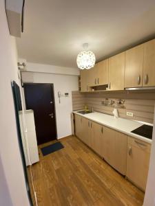 Lions Studio Dristor II