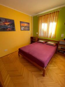 Apartment Petra with Balcony and Terrace 