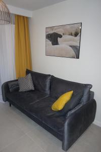 Apartamenty Czarne Owce