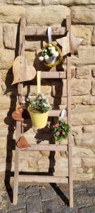 Pension Stadtmühle Allstedt