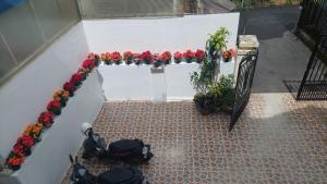 Homestay Thanh Hưng Địa Dư 2 dalat