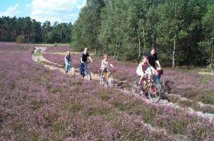 Camping Sonnenberg