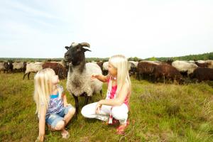 Camping Sonnenberg