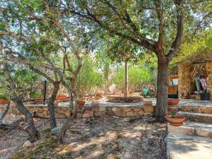 Villa Alice e Silvia - Chia img33