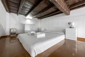 Lovely studio Apartment - Capocci